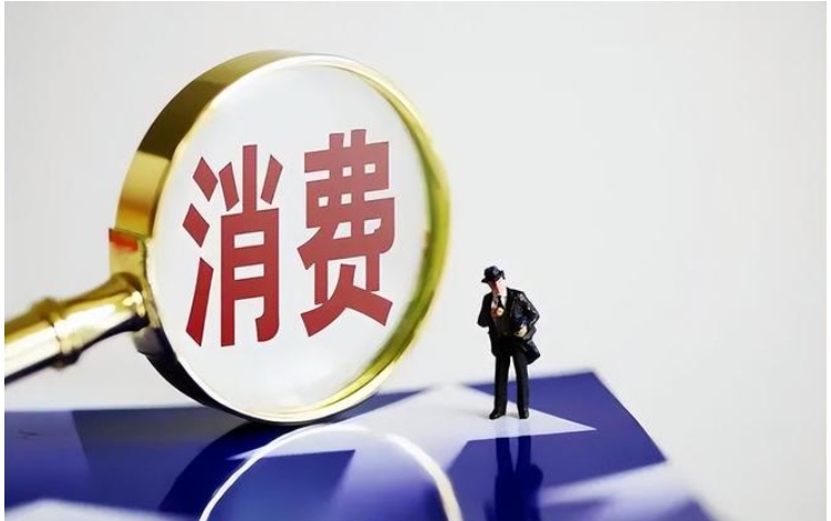 何立峰在河北调研时指出 积极扩大内需提振消费 更好推动经济高质量发展